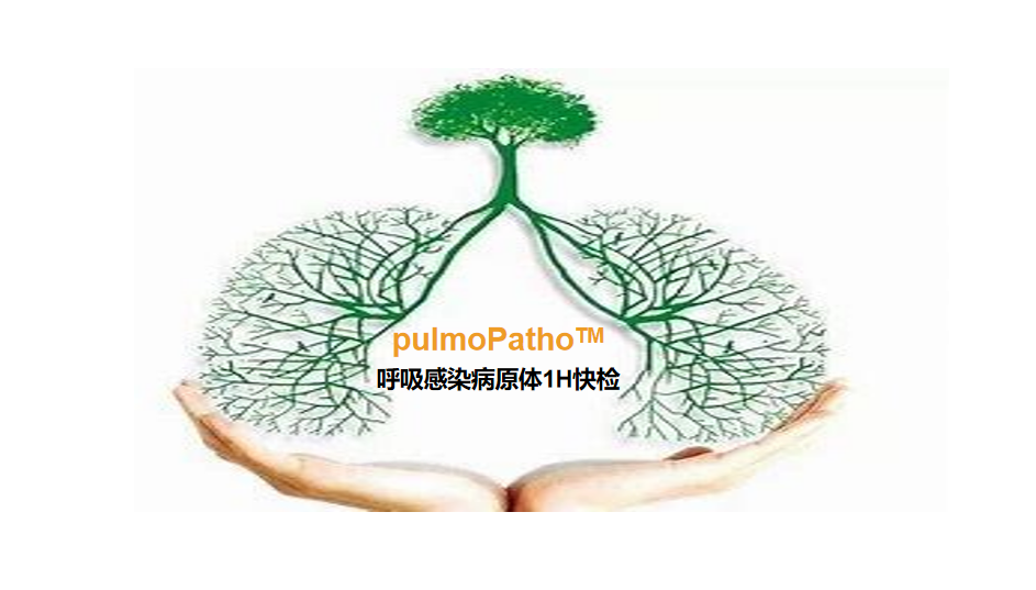 pulmoPatho，呼吸感染病原谱