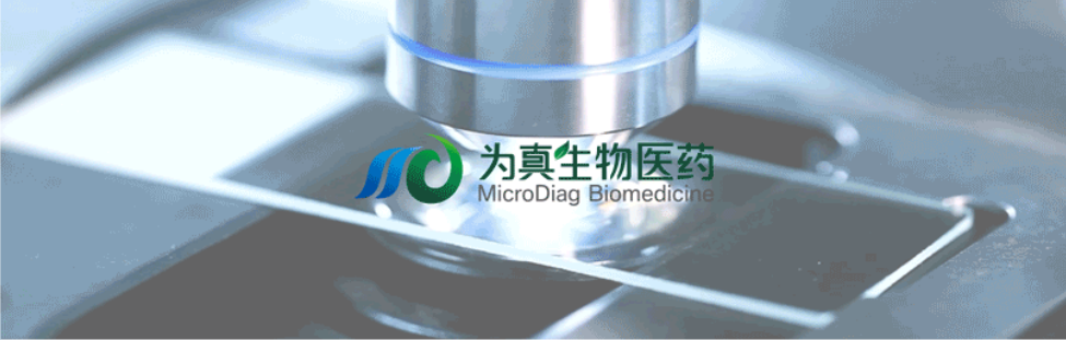 王莹院长领衔，王弢博士技术负责的研发项目获浙江省2024年度“尖兵”“领雁”研发攻关计划项目立项
